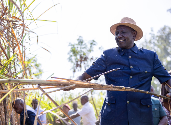 ‘Kenya is on course to attain surplus production and commence regional exports by 2026’ – Ruto says on sugar production