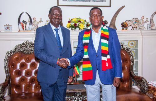 Raila Odinga with Zimbabwean president Emmerson Mnangagwa. PHOTO/@RailaOdinga/X