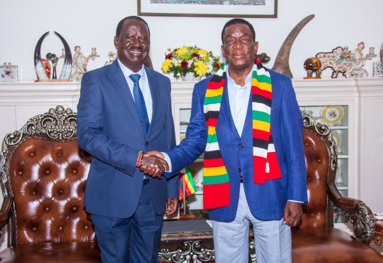 Raila meets President Mnangagwa months after Ruto secured Zimbabwe’s support for his AUC Chairmanship bid