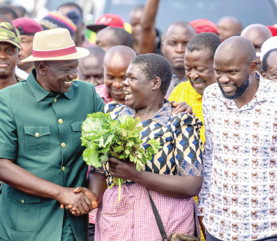 Why Ruto wants Raila to capture Africa top seat