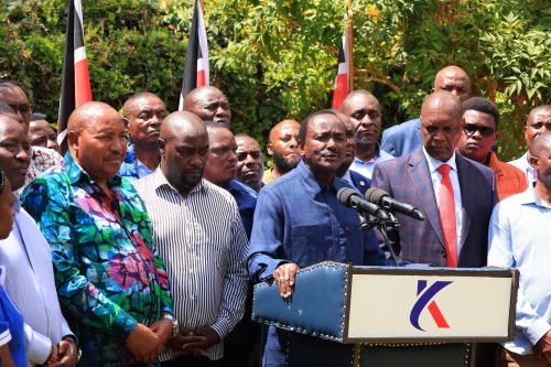 Wiper Party Leader Kalonzo Musyoka accompanied by other opposition leaders addressing the press on Wednesday January 15, 2025. PHOTO/@skmusyoka/X