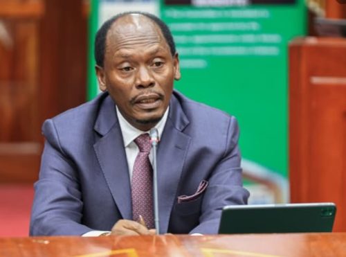 ICT Cabinet Secretary nominee William Kabogo appearing before the committee on appointments on Tuesday January 14, 2025. PHOTO/@MzalendoWatch/X