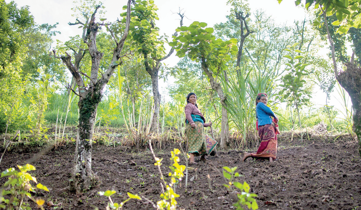 Funding alliance gives Ksh90B to counter ecological decline