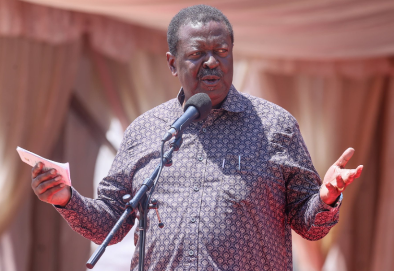  Mudavadi absolves Ruto in IEBC reconstitution debacle