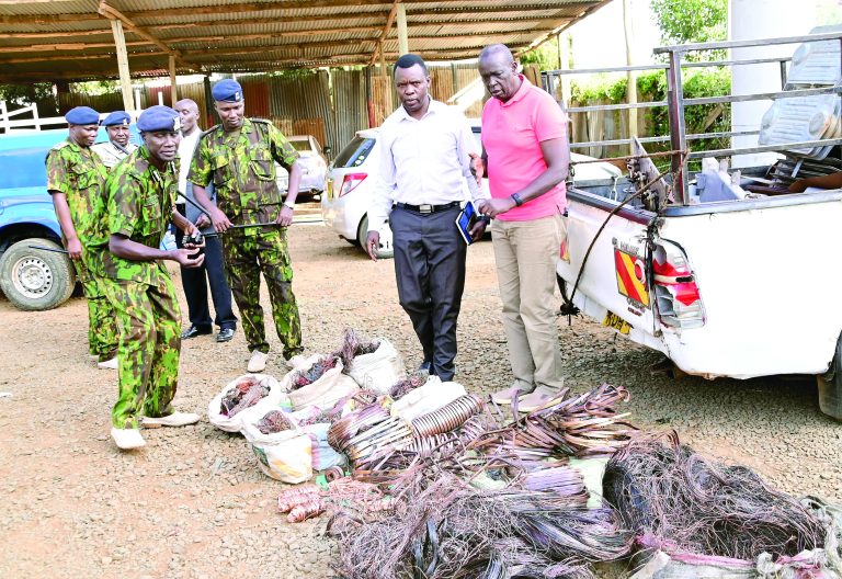 Five suspects arrested over vandalism of transformers