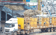 Can the Sugar Act 2024 revive Kenya’s flagging sugar sector?