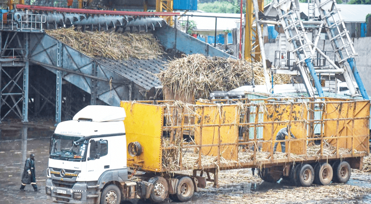 Can the Sugar Act 2024 revive Kenya’s flagging sugar sector?