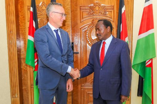 Kalonzo meets German Ambassador to Kenya Sebastian Groth