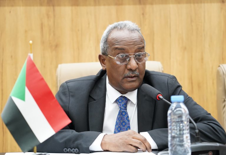 Sudan army-aligned foreign ministry sets path to elections amid civil war