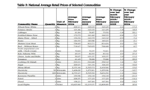 A table showing prices change between January and February 2025. PHOTO/Screengrab by PD Digital/knbs.or.ke