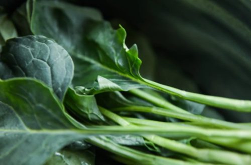 Sukuma Wiki leaves. Image used for representation purposes in this article. PHOTO/PEXELS