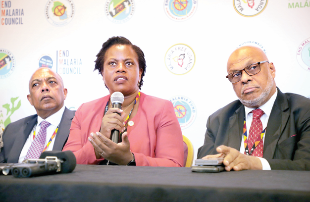 Concerns raised over malaria funds gap