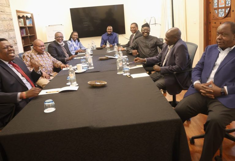 Former Interior CS Fred Matiang’i, former DP Rigathi Gachagua, People’s Liberation Party leader Martha Karua, Democratic Action Party leader Eugene Wamalwa, former Public Service CS Justin Muturi, former Agriculture CS Mintika Linturi, Mukhisa Kitui and Maore Maoka after the meeting on Tuesday, April 29, 2025. PHOTO/@DAP_Kenya /X