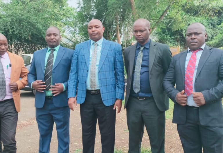 Mbeere South MCAs vow to back one of their own in 2027 parliamentary race