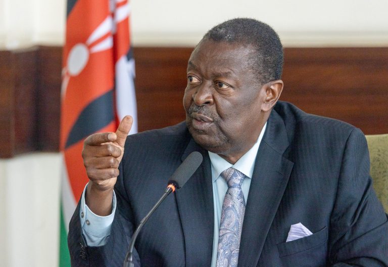 Mudavadi engages UN on public participation bill