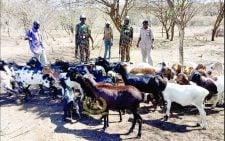 Fatalities count piles in North Rift as bandits rampage freely 