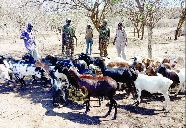 Fatalities count piles in North Rift as bandits rampage freely 