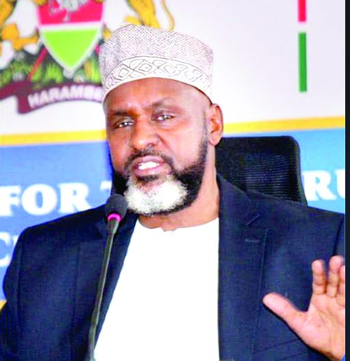 Treasury should be fined for hindering IEBC, panel told