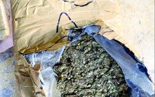 Policemen arrested with peddler’s bhang