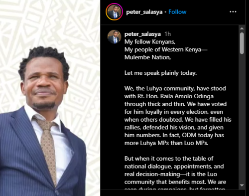 A part of Salasya's post on Instagram on Saturday, April 5, 2025. PHOTO/Screengrab by PD Digital from @peter_salasya