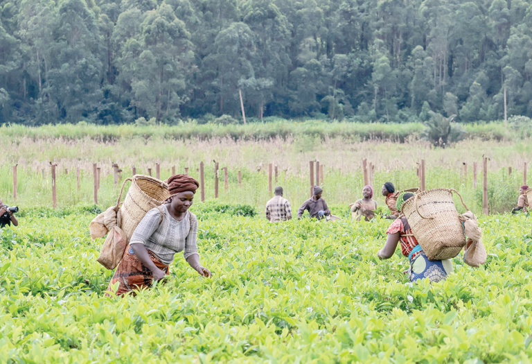 Landless farmers: The hidden inequality facing Africa’s women