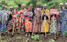 Women’s inclusion in forest governance below expectation