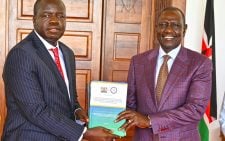 Who will take IEBC job? Nyachae or Anne Amadi