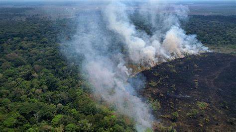 Aerial view of a burnt area in the Amazon rainforest, near the Lago do Cunia Extractive Reserve, on the border of the states of Rondonia and Amazonas, northern Brazil, on Wednesday. PHOTO/@hindustriantimes/x