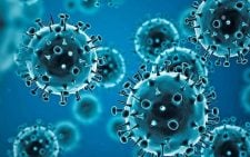 US FDA advisers to consider if new COVID shots should target LP.8.1 subvariant