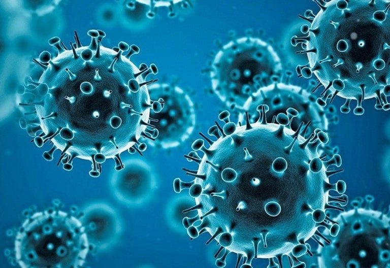 A photo of COVID-19 virus. PHOTO/@COVID19_disease/X