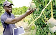 Go digital for more yields, Kisii dairy farmers told