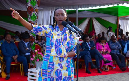PLP Party leader Martha Karua at a past address. PHOTO/@MarthaKarua/X