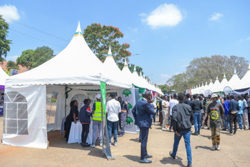 Independence Electoral and Boundaries Commission displaying elections. PHOTO/@IEBCKenya/X