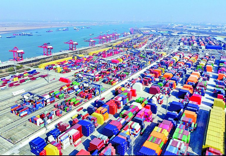 The Longtan container terminal at the port Nanjing, Jiangsu province, China, on January 17, 2025. PHOTO/Global Times