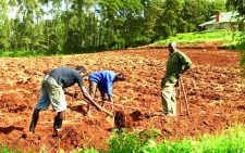 Summit to discuss how TVETs can boost food systems change