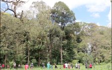Loitokitok Forest teems with life as Kenya’s highland biodiversity refuge