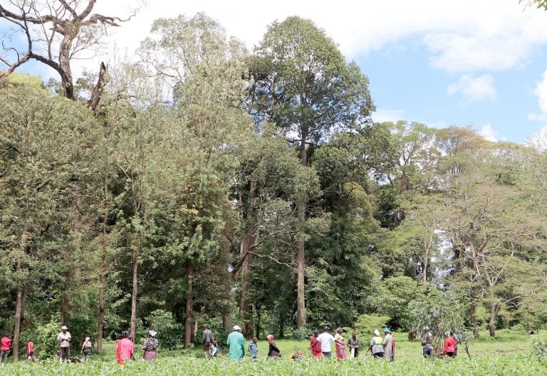 Community members during a tree-growing campaign in Loitokitok dubbed ‘Miti Festival’. PHOTO/WWF-Kenya