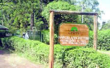 The Arboretum, tranquil trove for study and nature sampling 