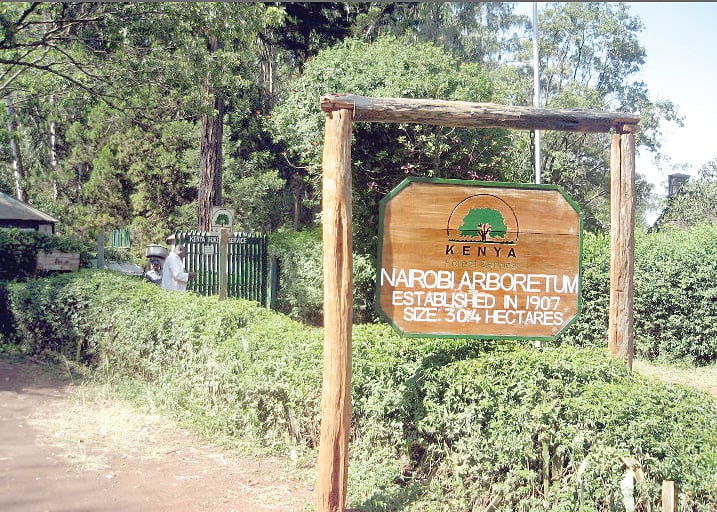 A view of the entrance to Nairobi Arboretum.  PHOTO/Nairobi Arboretum  
