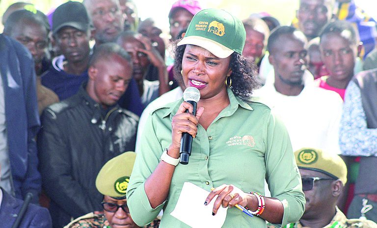 Activists oppose new authority for wildlife regulation