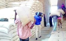 How Trans Nzoia’s failed rains will affect Kenya’s food basket
