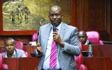 Senators plot parallel constitutional changes