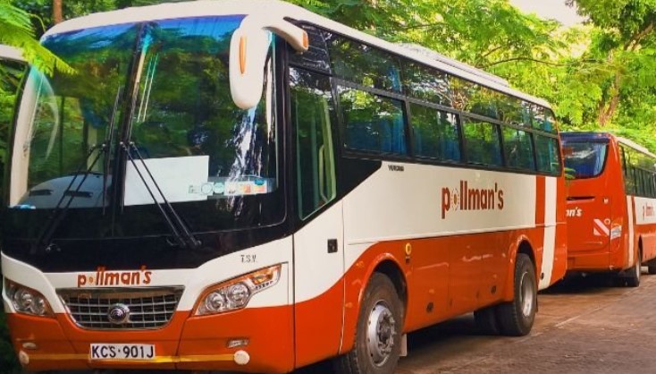 Image of Pollman\'s Tours and Safaris buses. PHOTO/uduny/X