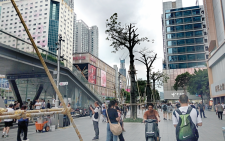 Lesson from China for Africa about digital space future
