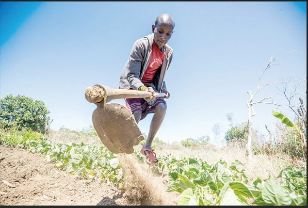 A farmer holding a jembe. PHOTO/Print