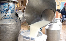 Rising middle class fuels growth of small-scale dairy firms in rural areas