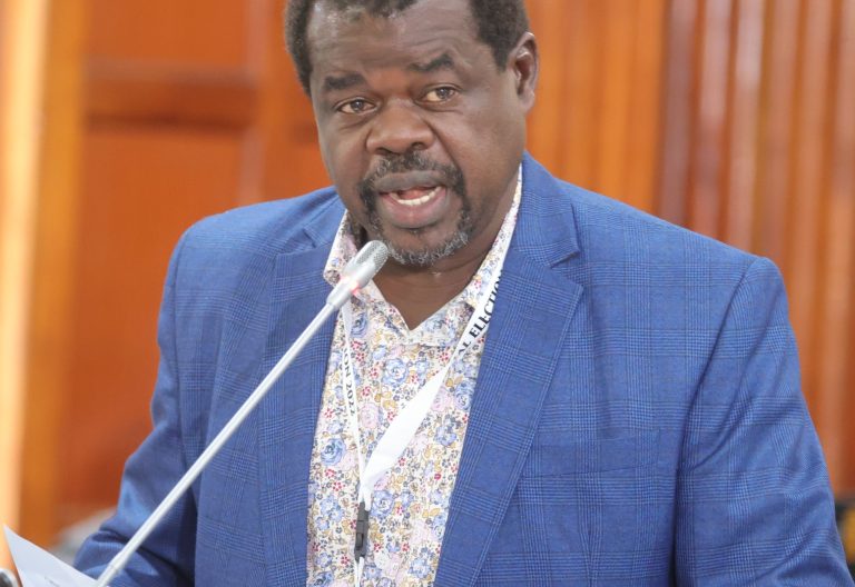 Okiya Omtatah speaks during a past event. PHOTO/@OkiyaOmtatah/X