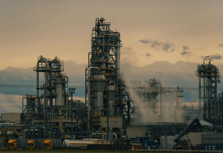 Image of an oil plant. Image used for illustration purposes only. PHOTO/Pexels