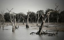 3 dead, 1 missing as state faces worse flooding than many have seen in their lifetimes