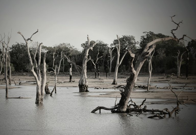 3 dead, 1 missing as state faces worse flooding than many have seen in their lifetimes